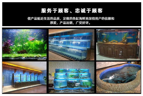 海鮮池定制推薦 欣璽匯專(zhuān)業(yè)圖文設(shè)計(jì)制作服務(wù)